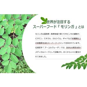 初回限定2袋まで999円 モリンガ サプリ 1...の詳細画像3