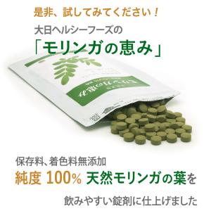 初回限定2袋まで999円 モリンガ サプリ 1...の詳細画像4