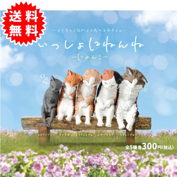 いっしょにねんね 〜にゃんこ〜 全5種コンプリート カプセル入り ガチャガチャ がちゃがちゃ カプセ...