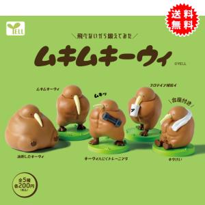 ムキムキーウィ 全5種コンプリート カプセル入り ガチャガチャ がちゃがちゃ カプセルトイ エール ガチャ ガチャ コンプリート キウイ