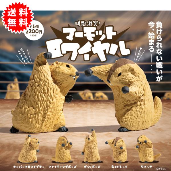 マーモットロワイヤル 全5種コンプリート カプセル入り ガチャガチャ がちゃがちゃ カプセルトイ エ...