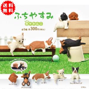 ふちやすみ 色々わんこ 全5種コンプリート カプセル入り ガチャガチャ がちゃがちゃ カプセルトイ エール ガチャ ガチャ コンプリート