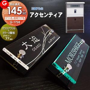 ガラスアクリル表札  表札 アクリル  【あんしん1年保証付き】   G-STYLE オリジナル表札 G-1724   145mmｘ50mm×化粧ビス2  機能門柱 機能ポール対応  三協アルミ対応 アクセンティア対応表札   アクリルガラス 戸建て 二世帯   