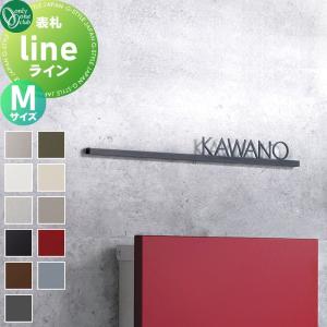 Mサイズ  表札 ステンレス   オンリーワン エクステリア オンリーワンクラブ ライン   横長方形      戸建て オーダー   