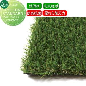 オンリーワンクラブ 人工芝 プロターフ プレミアム110 1m×10m AN2