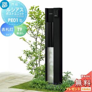 PE01型 表札灯タイプ(100V)  【無料★特典対象】  ルシアスポストユニット 本体 アルミ色  ポスト T9型(後出し)  YKK YKKap 門柱 ポスト 一体  おしゃれ ルシアス 機能門柱 機能ポール LED 一戸建て用 屋外 一体型セット  
