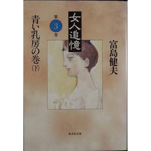 女人追憶 第三巻 青い乳房の巻 下 (女人追憶) (集英社文庫) 富島 健夫 