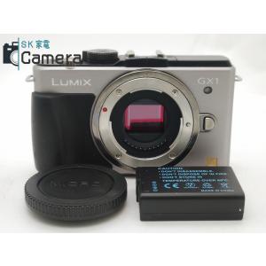 Panasonic LUMIX GX1 DMC-GX1 パナソニック ルミックス 電池付