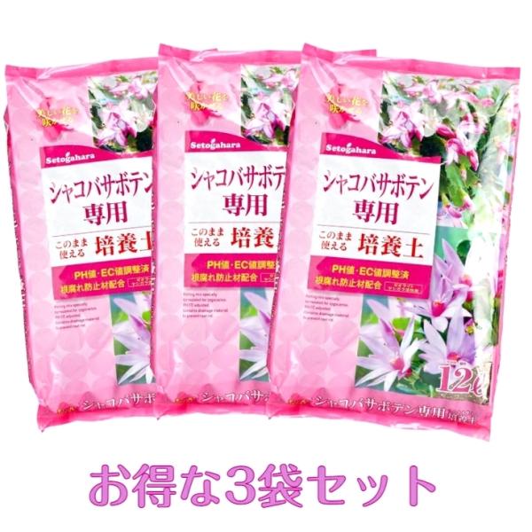 シャコバサボテン専用培養土　12L×３袋　お得な３袋セット