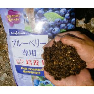 ブルーベリーの培養土 25L×2 2個セットの詳細画像3