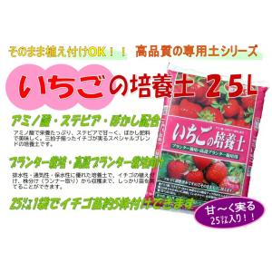 いちご 甘い プランター栽培 いちごの培養土 ...の詳細画像1