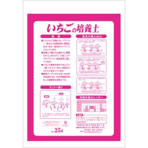 いちご 甘い プランター栽培 いちごの培養土 ...の詳細画像4