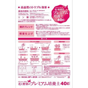 母の日 プレゼント ガーデニング 花と野菜のプ...の詳細画像1