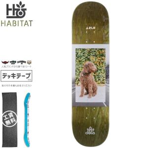 ハビタット HABITAT スケボー デッキ DELATORRE EYE LEVEL 1 DECK 8.75インチ NO101｜sk8-sunabe