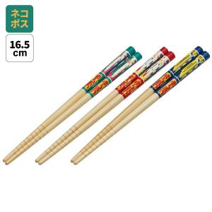 スケーター 箸 竹箸16.5cm 3膳入り （ ディノサウルス 恐竜 お箸 はし