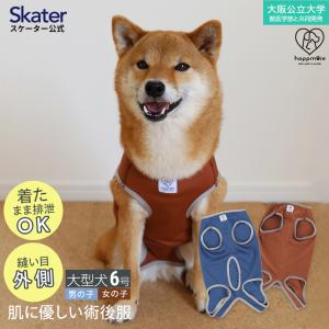 スケーター ペット用 術後服 犬 男の子用 5号 ネイビー 大阪公立大学と