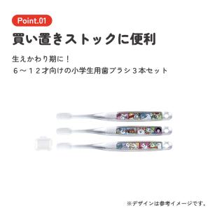 スケーター 歯ブラシ 子供 セット こども 3...の詳細画像2