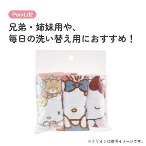 スケーター おしぼり タオル 3枚 セットおて...の詳細画像3
