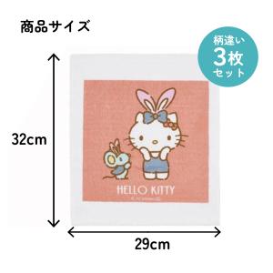 スケーター おしぼり タオル 3枚 セットおて...の詳細画像4