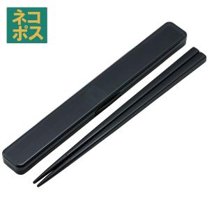 お箸セット 食洗器対応 箸入れ 抗菌 カトラリー お弁当 箸 おしゃれ カトラリーセット スケーター ABC45AG リッチブラック 黒色 色 無地 シンプル