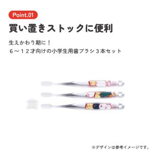 スケーター 歯ブラシ 子供 セット こども 3...の詳細画像3