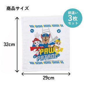 スケーター おしぼり タオル 3枚 セットおて...の詳細画像4