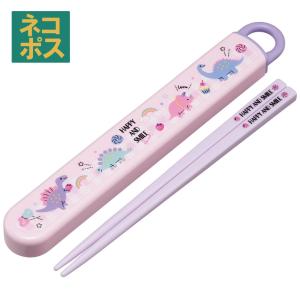 はしセット スケーター 箸＆箸箱セット スライド式 箸 箸箱 インセクトファイター