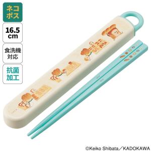 スケーター 箸箱セット 抗菌食洗機対応箸箱セット カラフルピーチ25