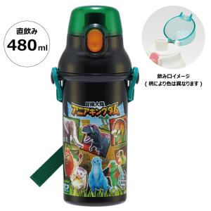 スケーター 水筒 直飲み プラスチック 大容量 ...の商品画像