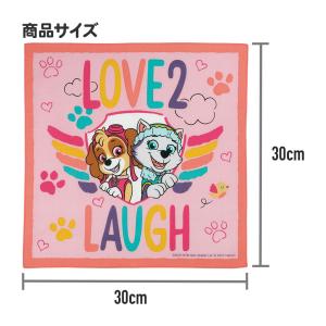 スケーター ハンカチ 30×30cm 子供 キ...の詳細画像3