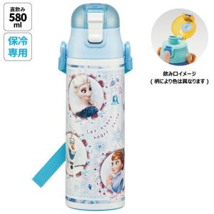 スケーター アナと雪の女王2 SDPV5 3D 立体 ステンレスボトル