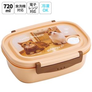 スケーター 松花堂 弁当箱 1段 530ml 日本製 ドーム型 詰めやすい