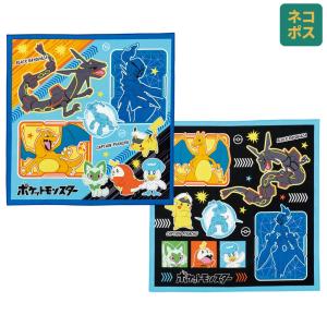 メール便送料無料 ポケットモンスター ピカチュウ フェイス ポケモン23