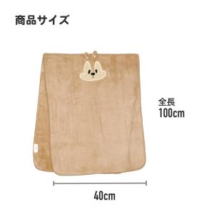 スケーター 吸水速乾 タオル ギフトセット キ...の詳細画像5