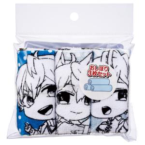スケーター おしぼり タオル 3枚 セットおて...の詳細画像1