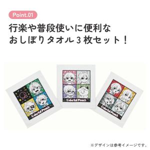 スケーター おしぼり タオル 3枚 セットおて...の詳細画像2
