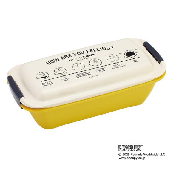 洗いやすい弁当箱 パッキン溝の幅が広い お弁当箱 530ml 1段 弁当 子供 大人 スケーター s...