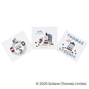 スケーター おしぼり タオル 3枚 セットおてふき 行楽 お出かけ ランチ グッズ OAC1T skater きかんしゃトーマス つむぱぱ トーマス 男の子 電車