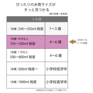スケーター 水筒 直飲み 大容量 480ml ...の詳細画像5