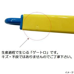 スケーター お箸セット 食洗機対応 箸入れ カ...の詳細画像5
