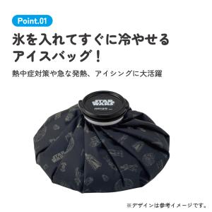 スケーター 氷嚢 氷のう Lサイズ 直径24c...の詳細画像1