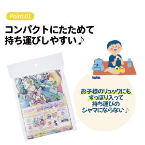 スケーター レジャーシート ピクニックシート ...の詳細画像2