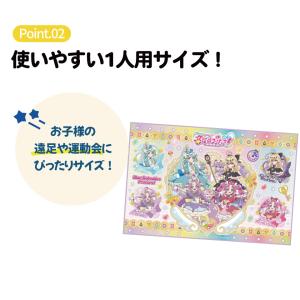 スケーター レジャーシート ピクニックシート ...の詳細画像3