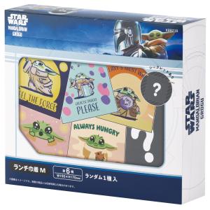 スケーター キャラクター ミステリーボックス巾着 M 全6種類 レアデザイン1種類 KBB21B skater スター・ウォーズ マンダロリアン・アンド・グローグー