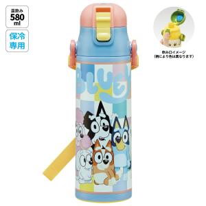 スケーター 水筒 子供 580ml 直飲み ダイレクト キッズ ステンレス