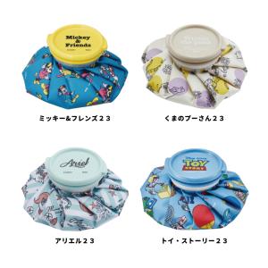 スケーター 氷嚢 スポーツ Sサイズ 氷のう ...の詳細画像1