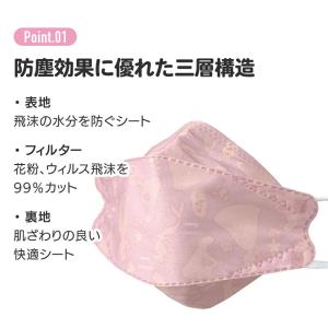 スケーター マスク 高機能 不織布 大人 用 ...の詳細画像2