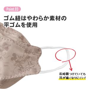 スケーター マスク 高機能 不織布 大人 用 ...の詳細画像4
