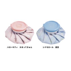 スケーター 氷嚢 氷のう Sサイズ アイスバッ...の詳細画像1