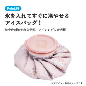 スケーター 氷嚢 氷のう Sサイズ アイスバッ...の詳細画像2